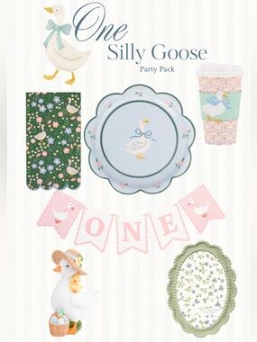 🪿 **One Silly Goose Birthday Party Pack – Complete Themed Set** 🪿